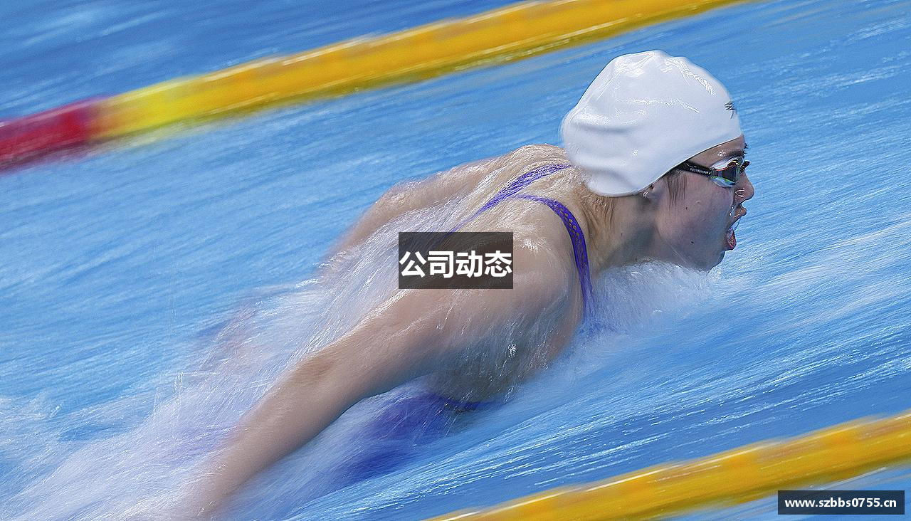 公司动态